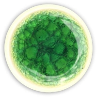 Emerald Pooling Glaze 1020-1100 - Click for more info