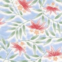 Tiss Trans TPC6 Summer Flowers 400x280 - Click for more info