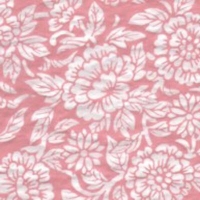 Tiss Trans TPP9 Chrysanthemum Pink 440x320 - Click for more info