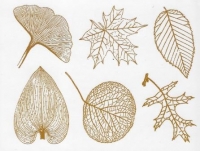 Decal - Large Leaves - Copper - Click for more info