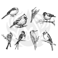 Aviary - Small Birds Silkscreen - Click for more info